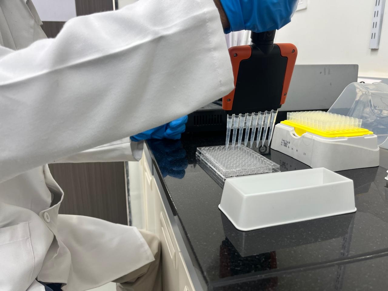 ELISA Testing